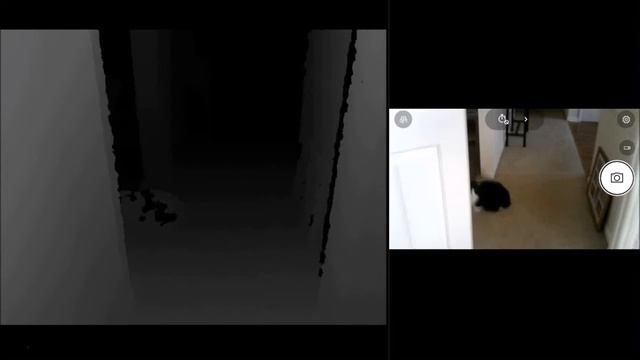 Windows Kinect Ghost on Cat? Meet Tux, Bit Camera Shy 20180316 353P смотреть онлайн