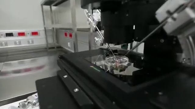 gemma clinic - IVF clinic Belgrade смотреть онлайн