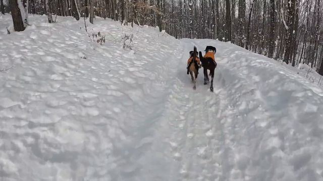 Off-Grid Cabin Life: Snowstorm and Wood Stove Cooking смотреть онлайн