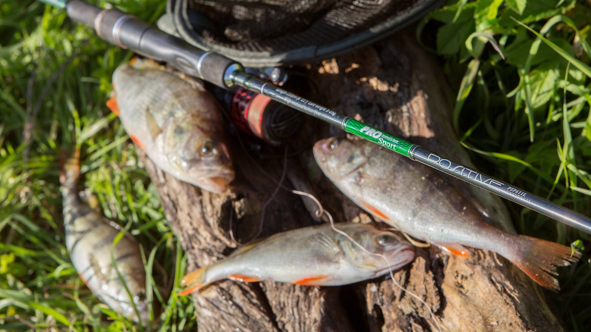 Спиннинг Pro Sport Positive Volzhanka