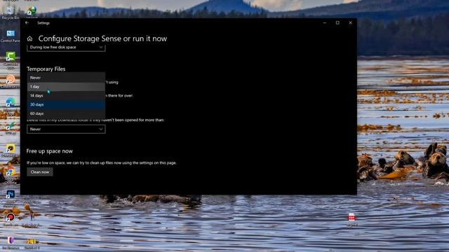 How to Clear Windows Update Cache and Games Cache Manually/Automatically! 2022 Windows 10/11/8/7 смотреть онлайн
