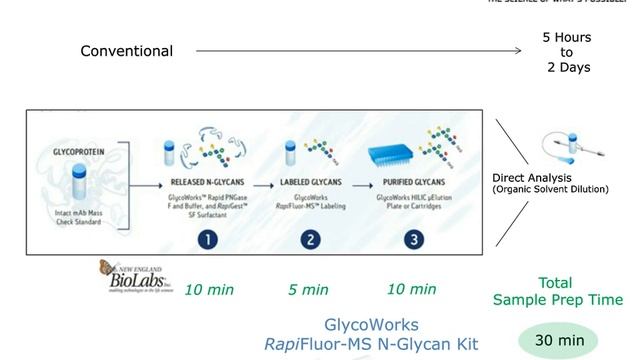 Multiple Attribute Monitoring of Biopharmaceuticals Using Mass Detection смотреть онлайн