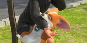 Корги по имени Моко. Простые истории, 65 серия. Похищение