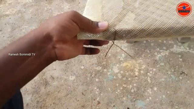 Mosquito net arranged on the window grill | house decoration tips | by rameshbommidi tv смотреть онлайн