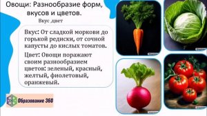 УРОК 15|7 класс. Многообразие и происхождение культурных растений