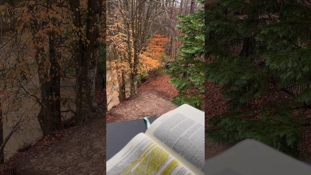 Read and Meditate on the Bible with me: Genesis 29-31 смотреть онлайн