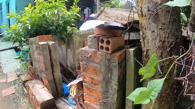 Tony | Chơi Trốn Tìm Trên Cây - Hide & Seek Game смотреть онлайн