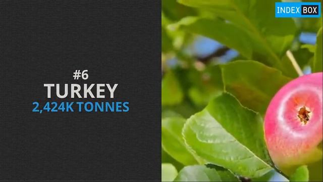 Top 10 Apple Producing Countries смотреть онлайн