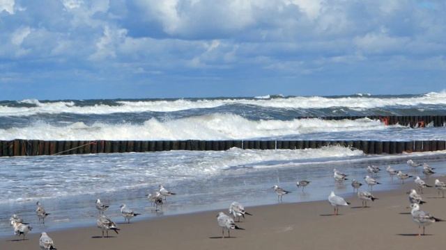 924.🎼. «Lonely by Sea» - Sasha Ten смотреть онлайн