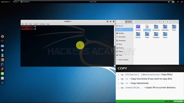 Video 13: Copying files and directories | Kali Linux Tutorial For Beginners смотреть онлайн