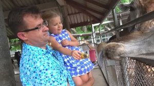 VLOG в Паттайе, катаемся на cлонах, кормим животных в зоопарке Диана и Рома - Приключения в парке