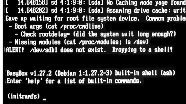 Kali Linux black screen during boot смотреть онлайн