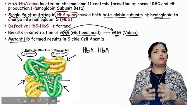 Pleiotropic genes (Pleiotropy) | Genetics Class 12 in Tamil смотреть онлайн