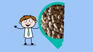 Дражирование орехов