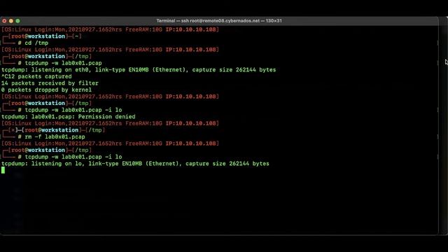 IDPS Lab 0x01 Introduction to Packet Analysis смотреть онлайн