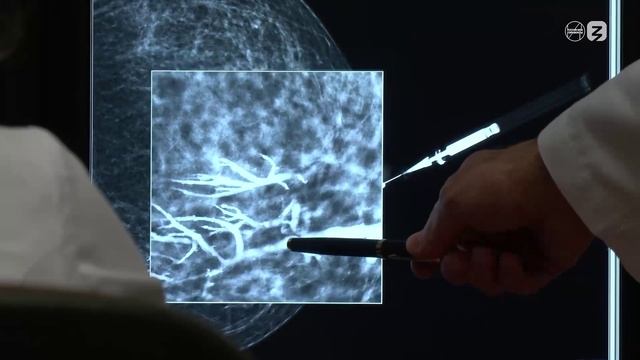 Видеоролик о среде и отрасли (6-7 класс). Россия — мои горизонты (24 октября) смотреть онлайн