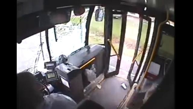 Deer crashes into bus in Johnstown - Deer Fare смотреть онлайн