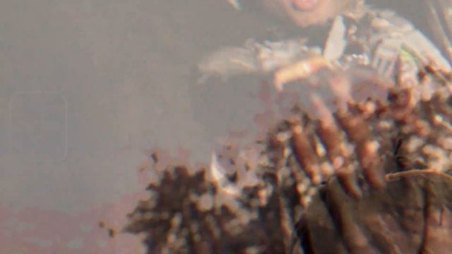 Nelsongang - M.I.A. смотреть онлайн