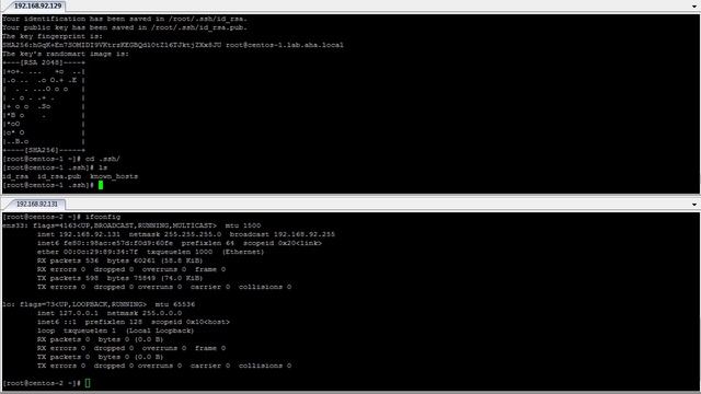 AhaliBlogger Vid-Blog: No Password SSH No Problem смотреть онлайн