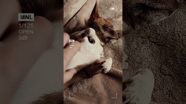 Dido - My Life (instrumental cover) смотреть онлайн