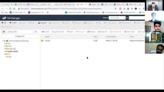 Domain and hosting connection смотреть онлайн