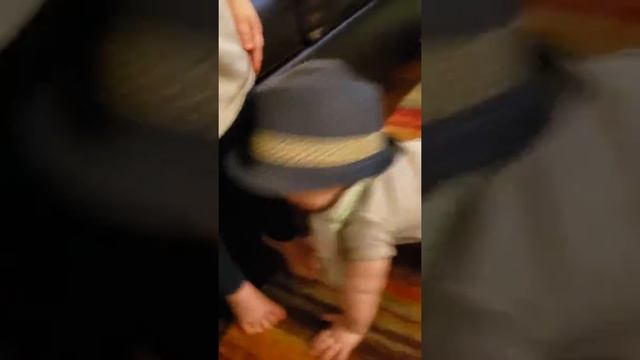 3/29/19 he loves this fedora...lol смотреть онлайн