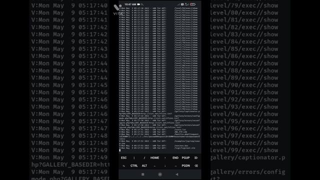 How to Website vulnerability Scan In Nikto || Nikto Website Vulnerability Scanner смотреть онлайн