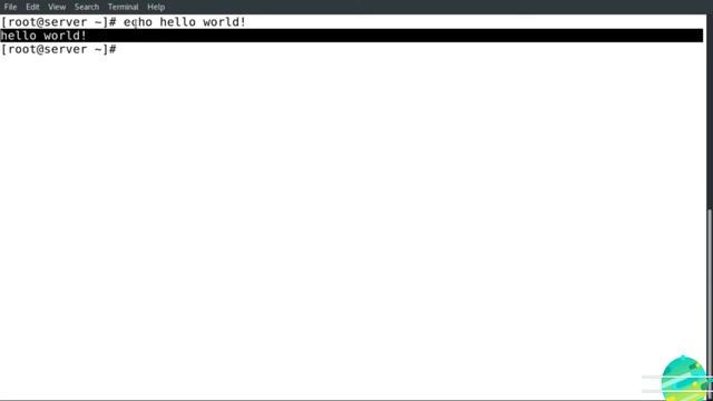 Linux Command Line Tutorial For Beginners cat command in Linux смотреть онлайн