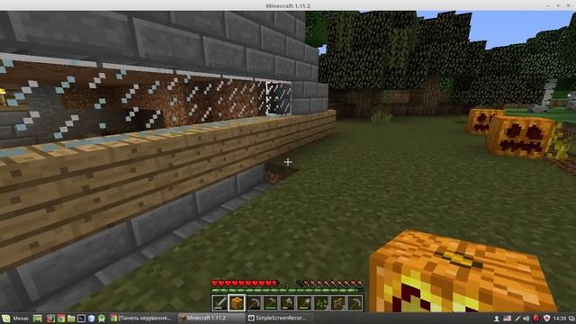 minecraft Forge OptiFine 1.11.2 for linux смотреть онлайн