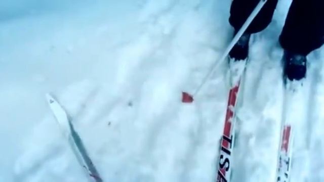 Дина первый раз на лыжах! (Created with @Magisto) смотреть онлайн