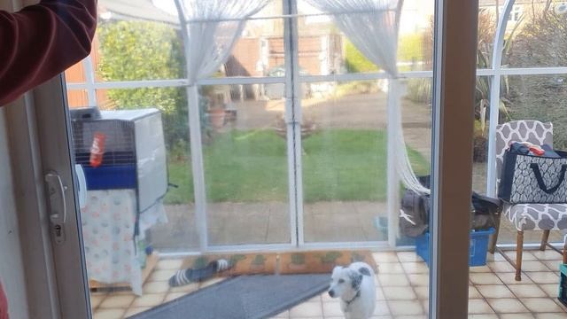 Karcher WV 6 Plus N Window Vacuum 3 month review and demo смотреть онлайн