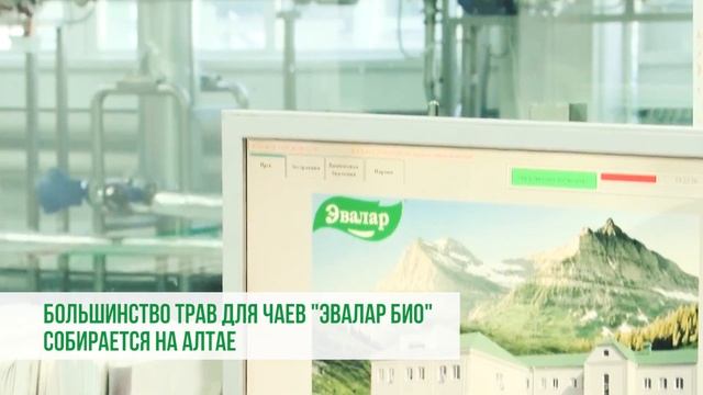 Производство чаев «Эвалар» смотреть онлайн