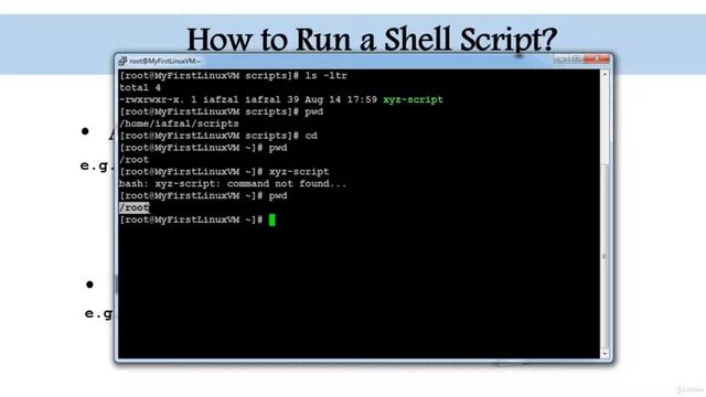 7 How to Run a Shell Script смотреть онлайн