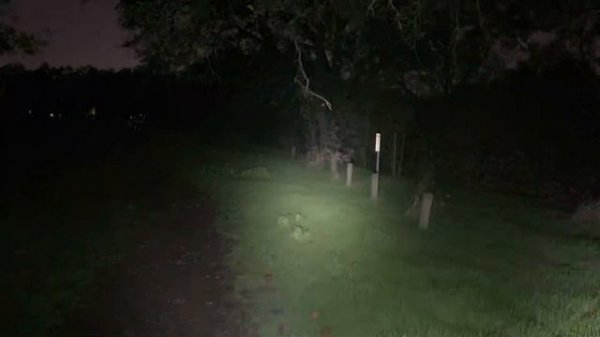 SOFIRN SP36 Pro 8000lm VS SF47 9000lm outdoor battle