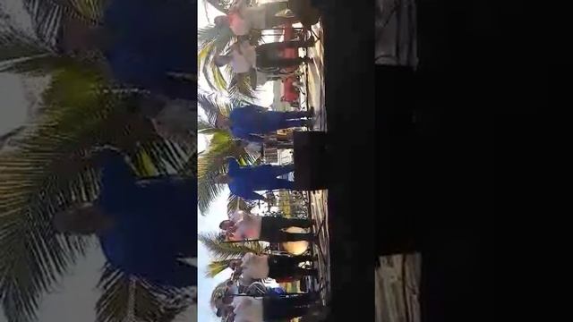 Webos rebeldes amor pajarito смотреть онлайн