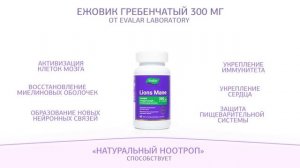 Ежовик Гребенчатый