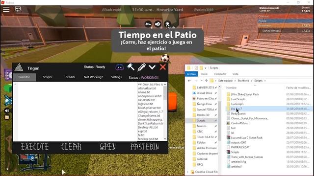 ✔️NUEVO LVL 7 | TRIGON | Ejecuta Cualquier Script En Roblox ✔️| LOADSTRINGS | Y Mucho Mas! смотреть онлайн