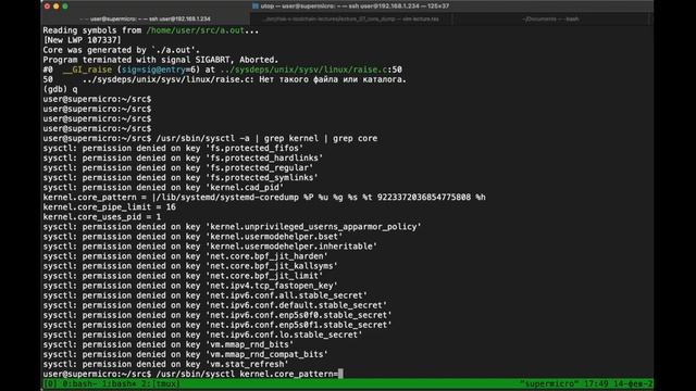 RISCV-assembly lecture 7: Core dump. Special. смотреть онлайн