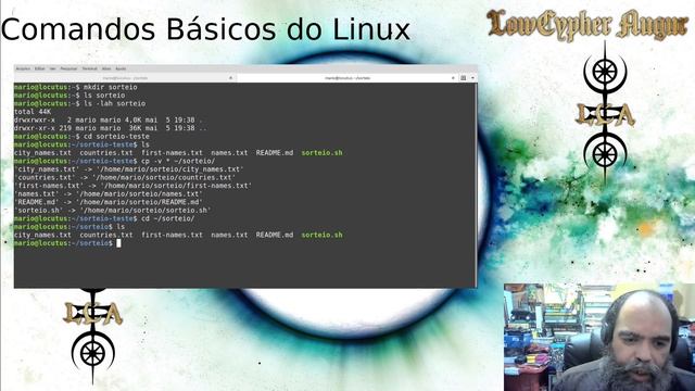 02 - Manipulando Arquivos e Diretórios Linux - Básico смотреть онлайн