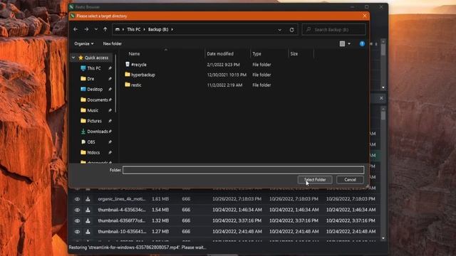 Restic Browser For Windows