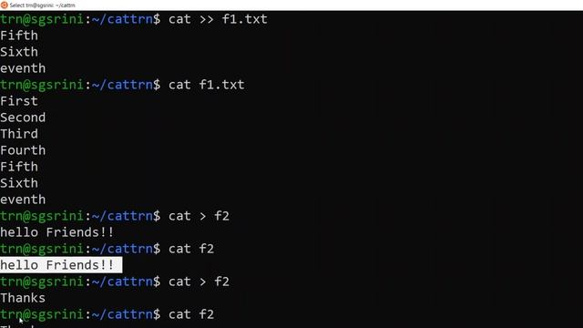 Cat Command tutorial u don't want to miss!! | #techrelease | #linux смотреть онлайн