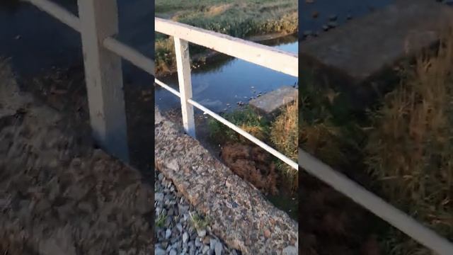 ЖД в Кущевке смотреть онлайн