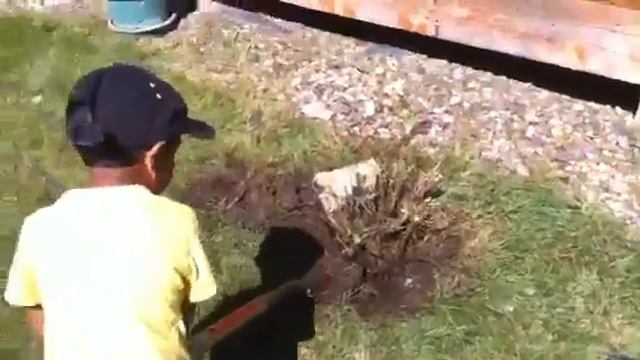 Aadith - the yard man смотреть онлайн