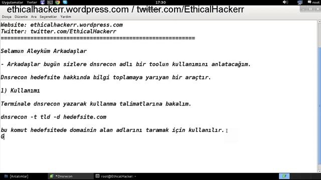Kali Linux - Dnsrecon смотреть онлайн