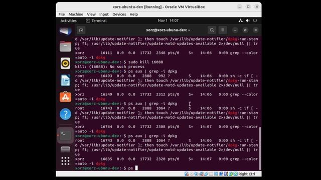 Ubuntu: Fix Could not get lock /var/lib/dpkg/lock смотреть онлайн