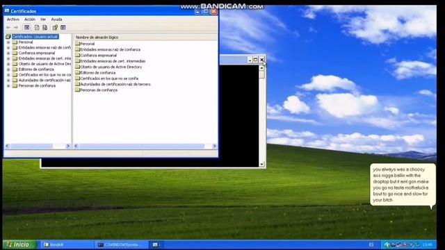 Bonzikill.exe ¡Bonzi Quiere  Venganza!
