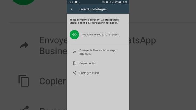 WhatsApp Business Catalogues 2021:présenter Vos Produits Et Vos Services Au Monde Entier