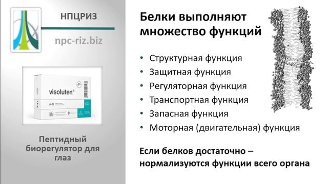 Визолутен смотреть онлайн
