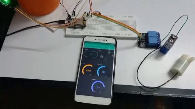 Smart Irrigation System Using IoT technology and Blink Application Mini project for BCA/MCA/M.Tech смотреть онлайн