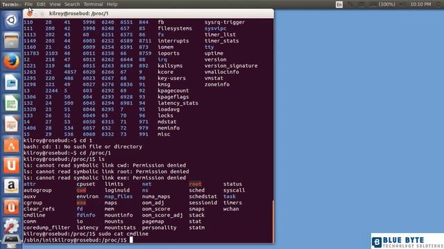 LEARNING UBUNTU LINUX - 031 - File Management - Pseudo File systems (dev, proc And sys) смотреть онлайн